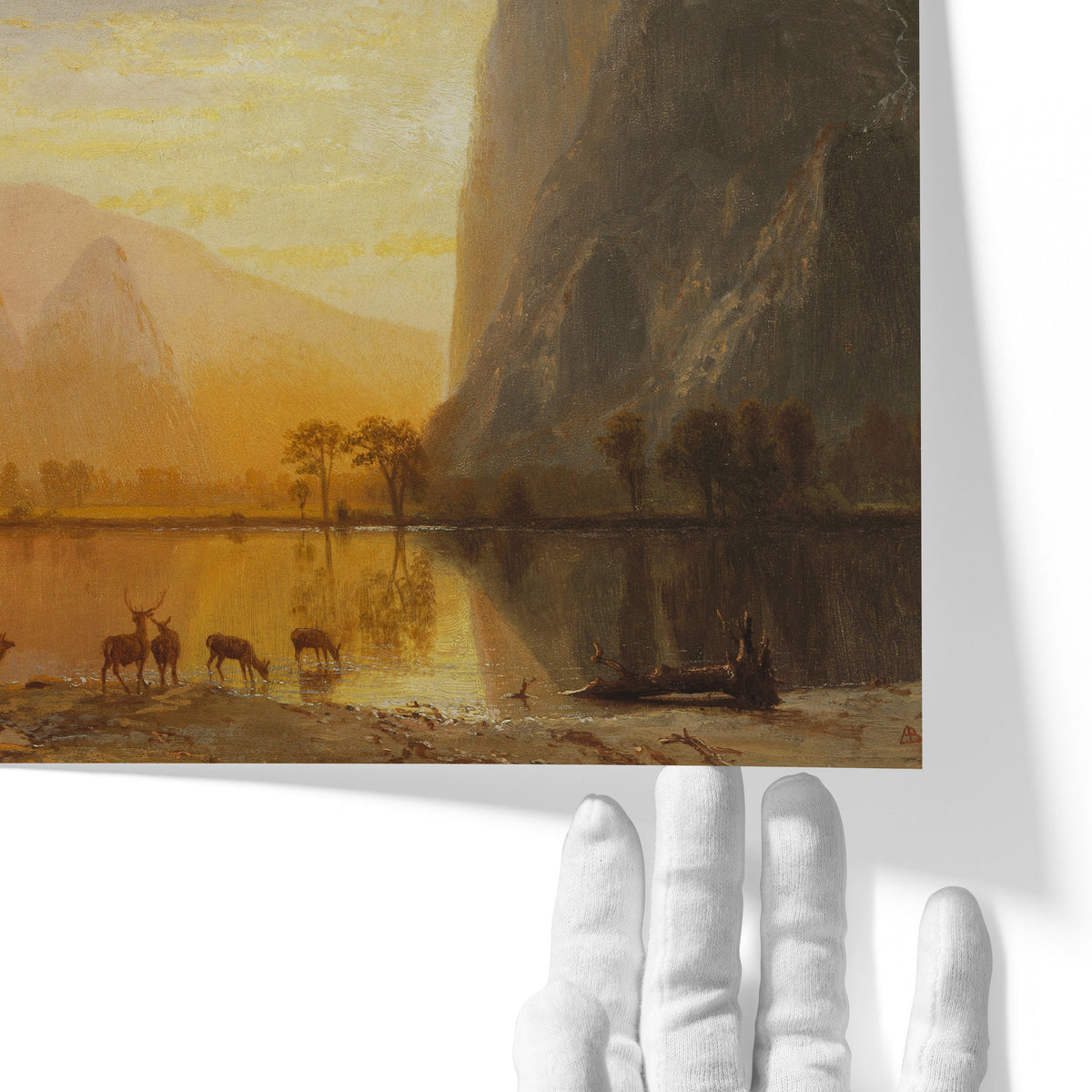 Valley of the Yosemite | Albert Bierstadt | 1864