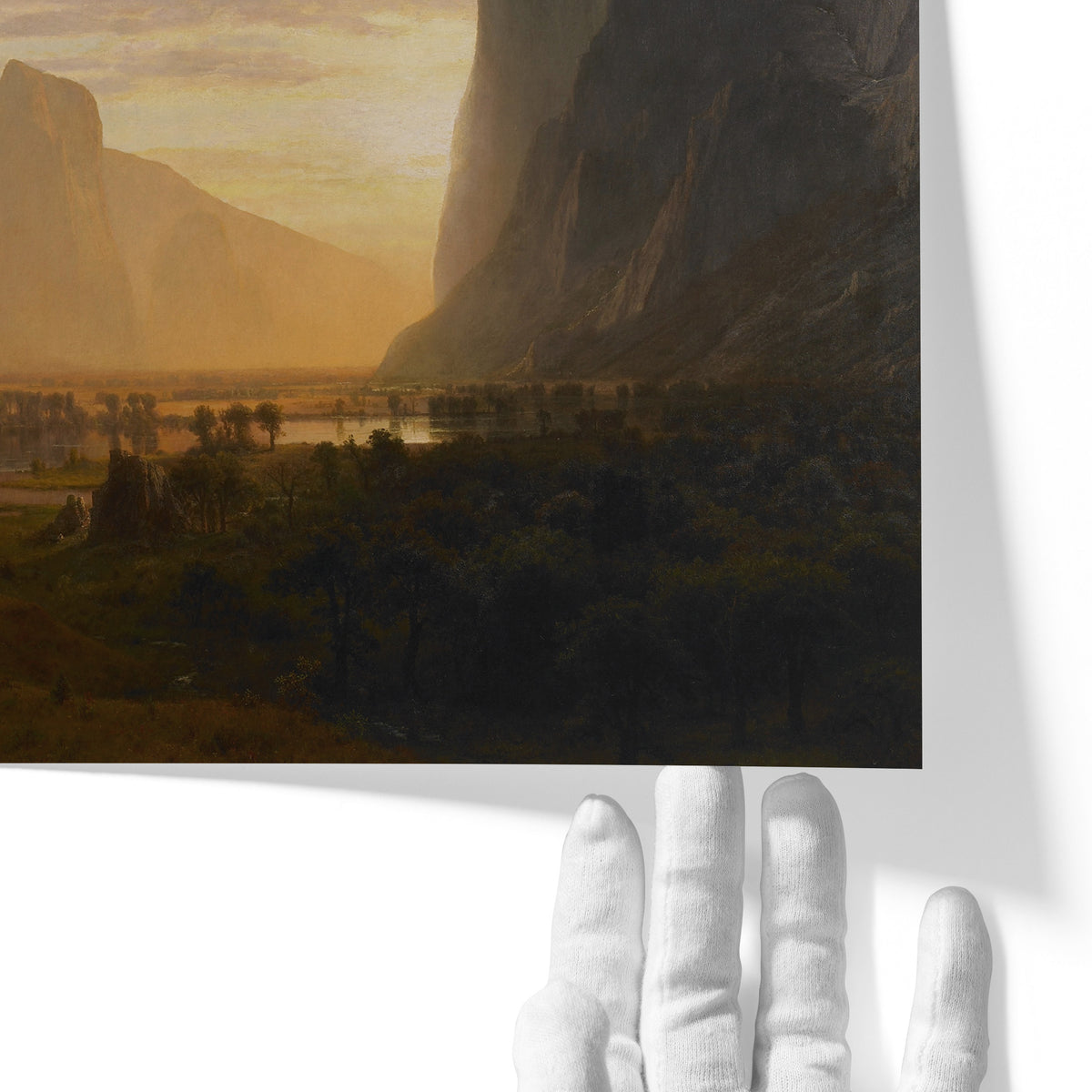 Looking Down Yosemite Valley, California | Albert Bierstadt | 1865