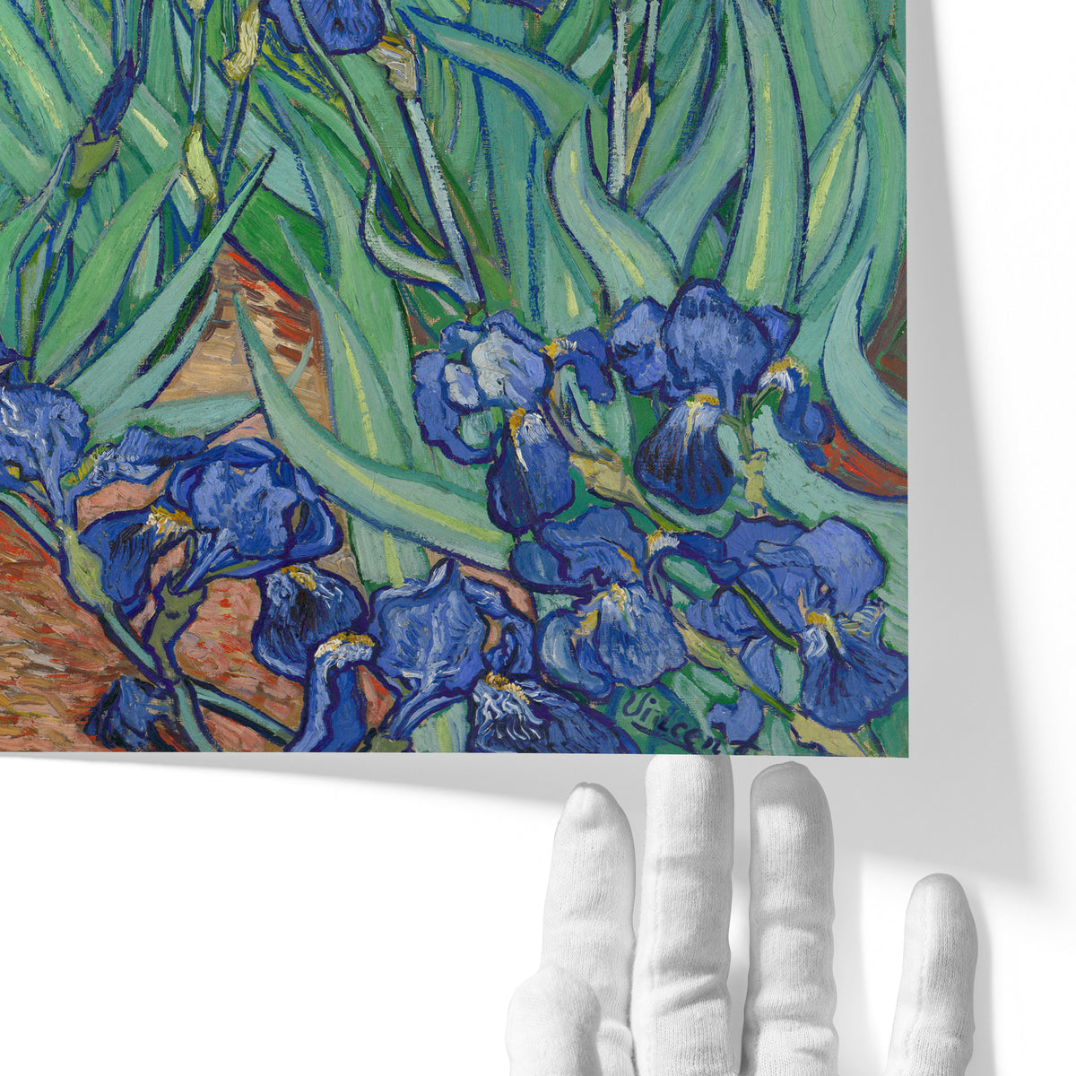 Les Iris | Vincent van Gogh | 1889