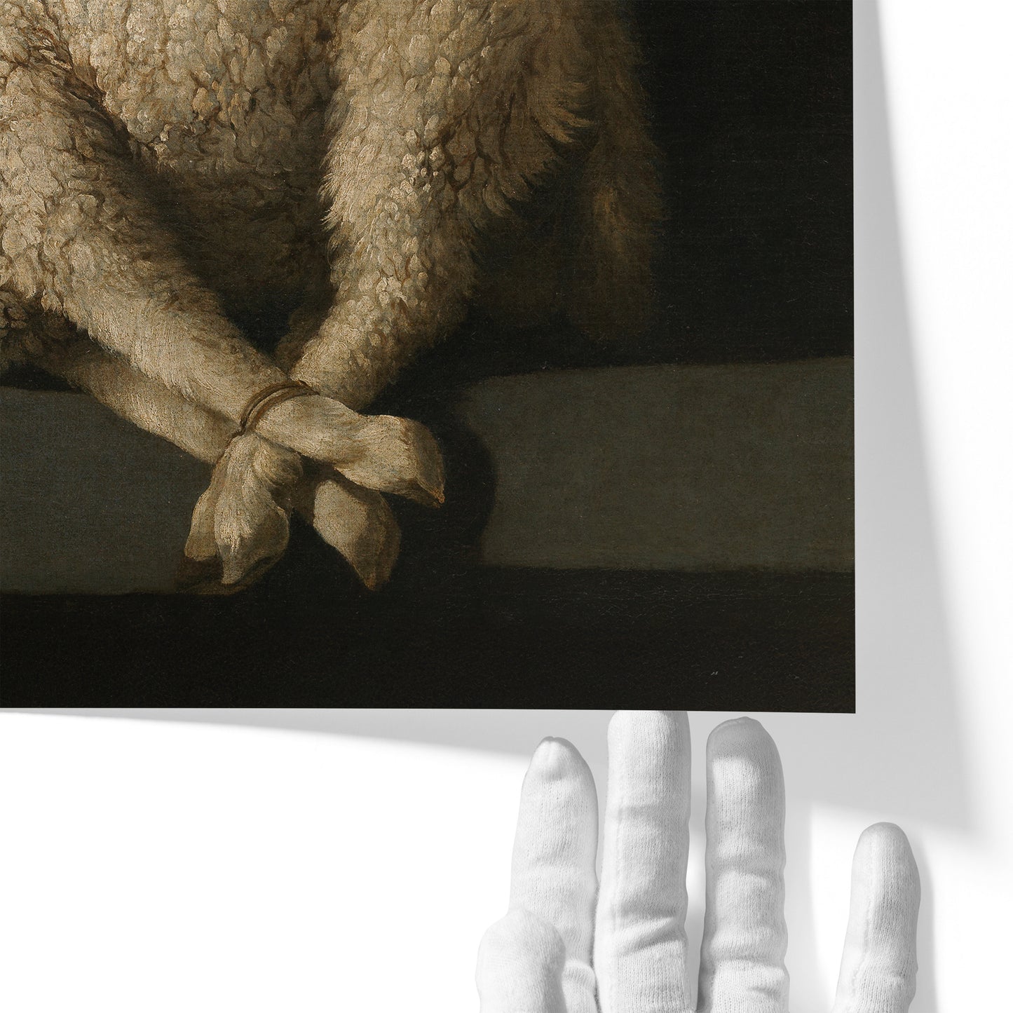 Agnus Dei | Francisco de Zurbarán | 1640