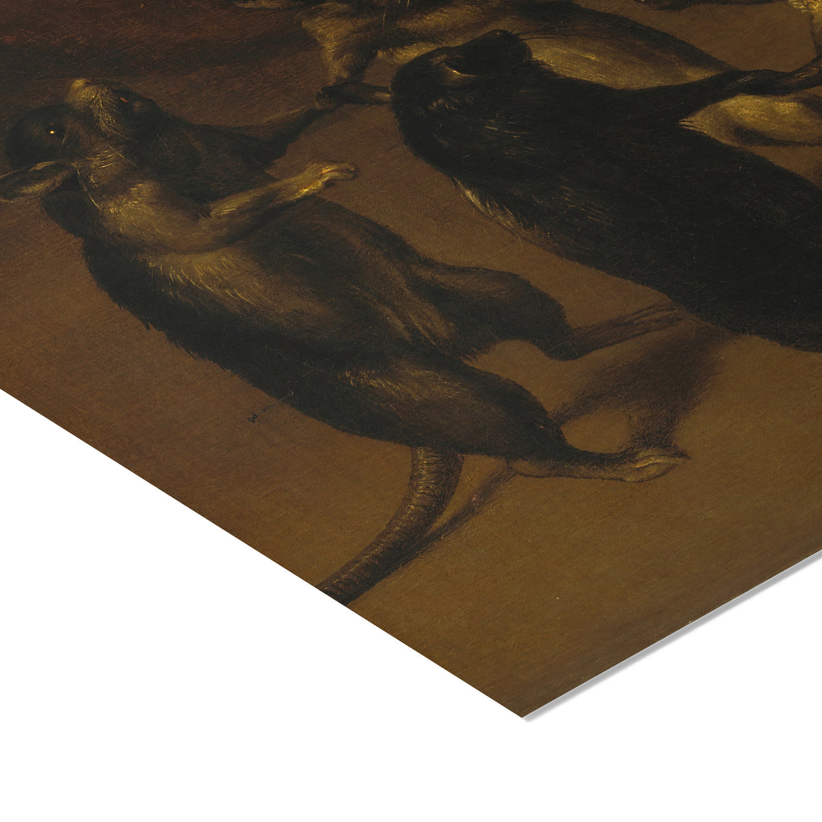 The Dance of the Rats | Ferdinand van Kessel | c. 1690