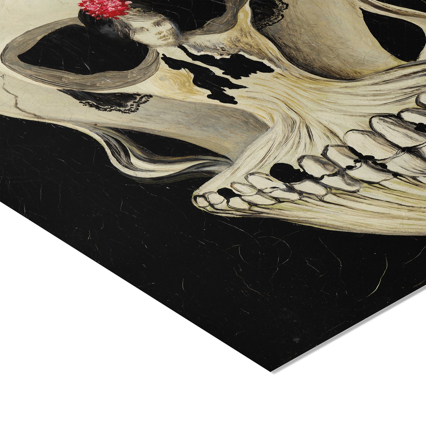 Ballerina in a Skull | Salvador Dali | 1932