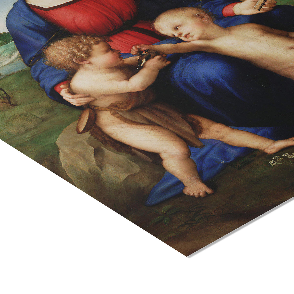 Madonna of the Goldfinch | Raphael | 1505