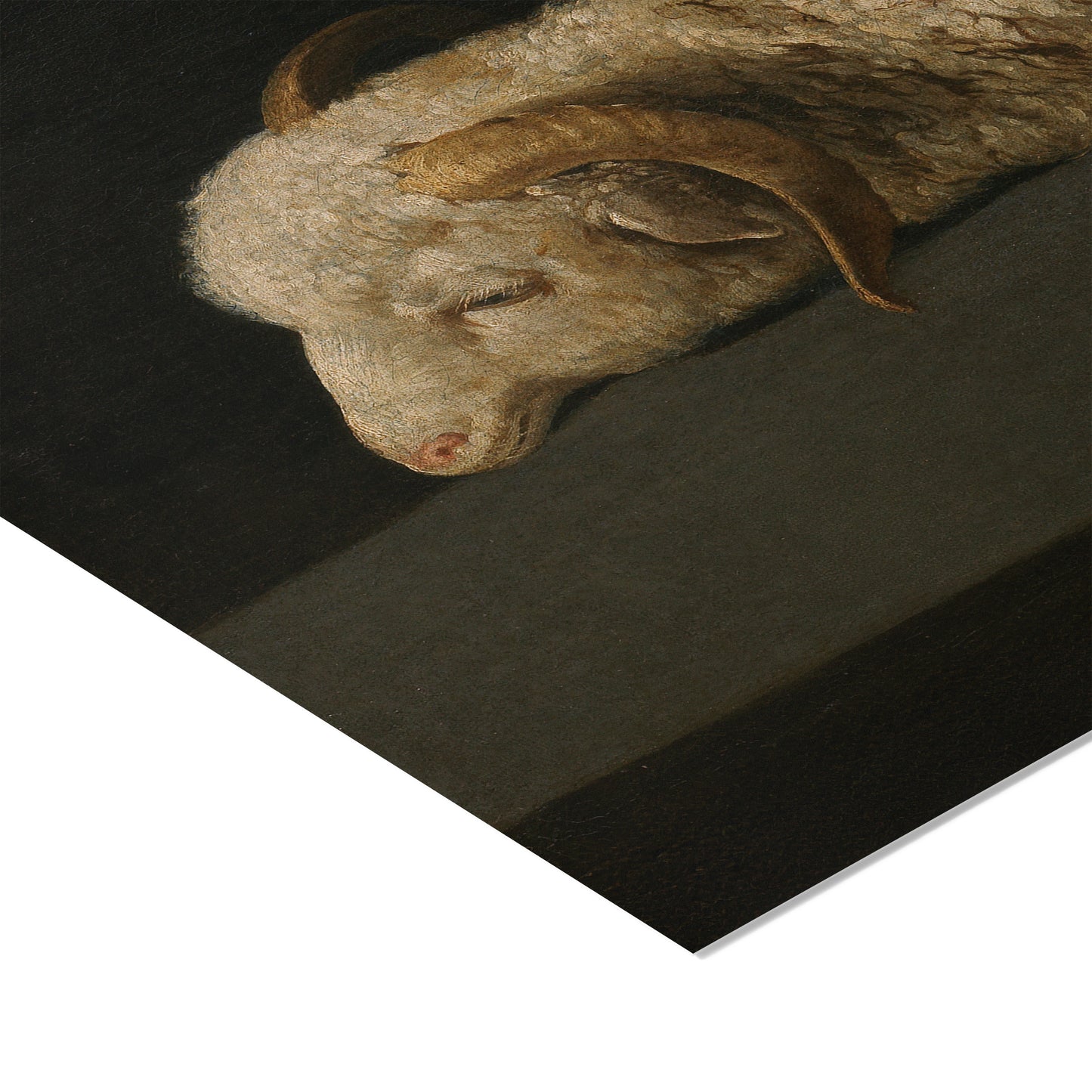 Agnus Dei | Francisco de Zurbarán | 1640