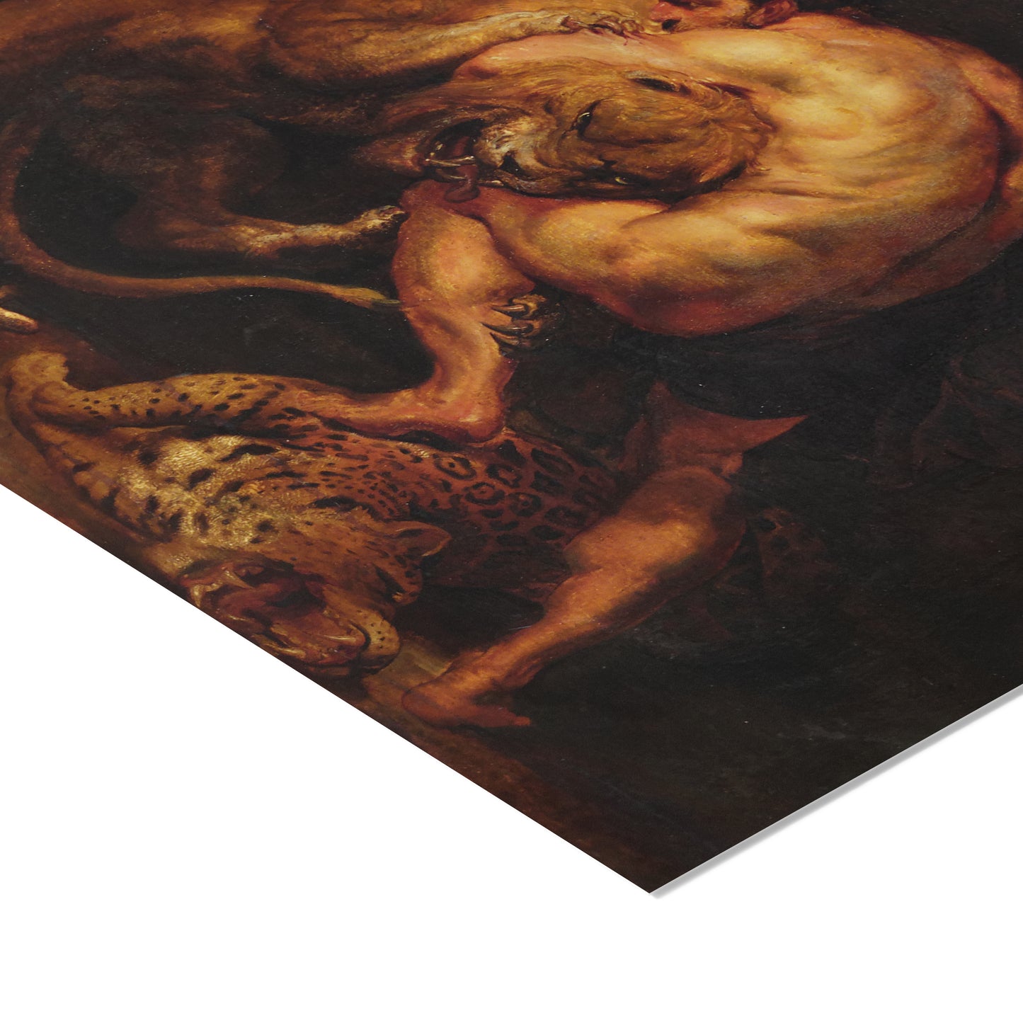 Hercules and the Lion of Nemea | Peter Paul Rubens | c. 1615-18