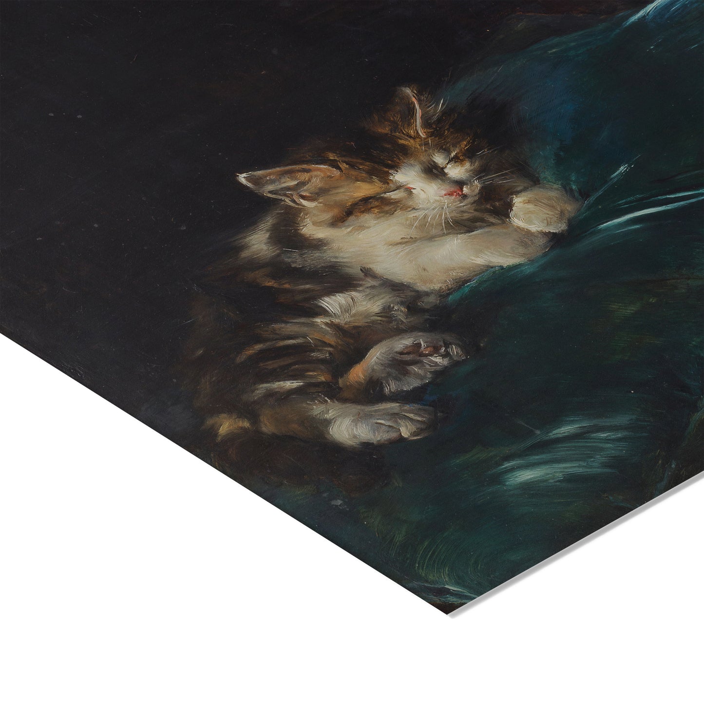 Cat Sleeping on a Cushion | Francisco Domingo Marqués | 1892