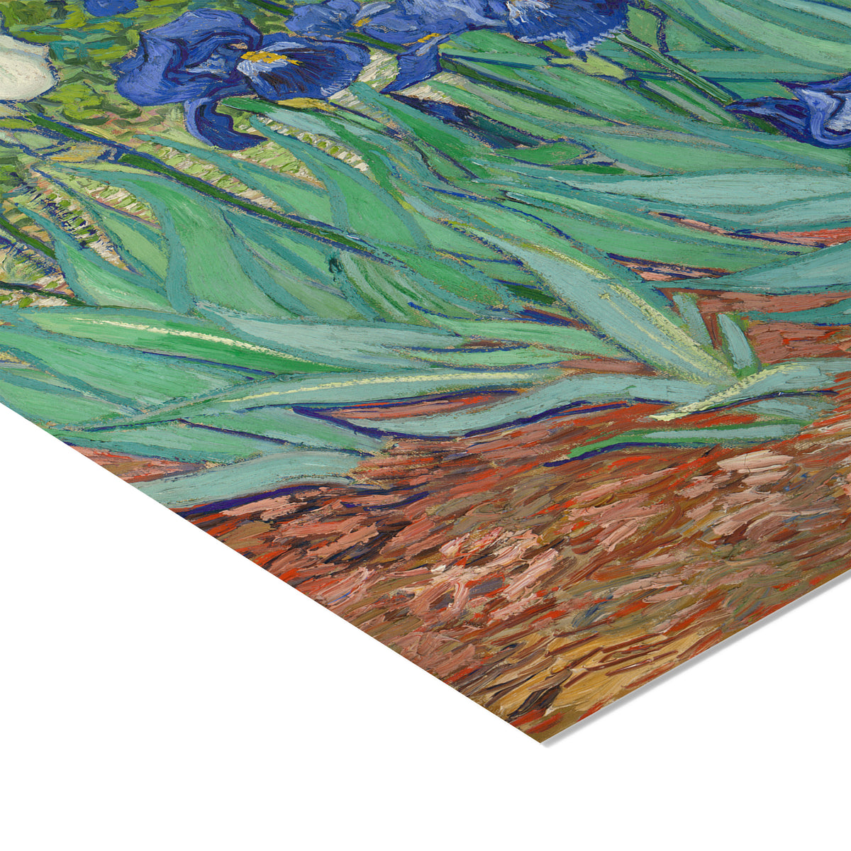 Les Iris | Vincent van Gogh | 1889