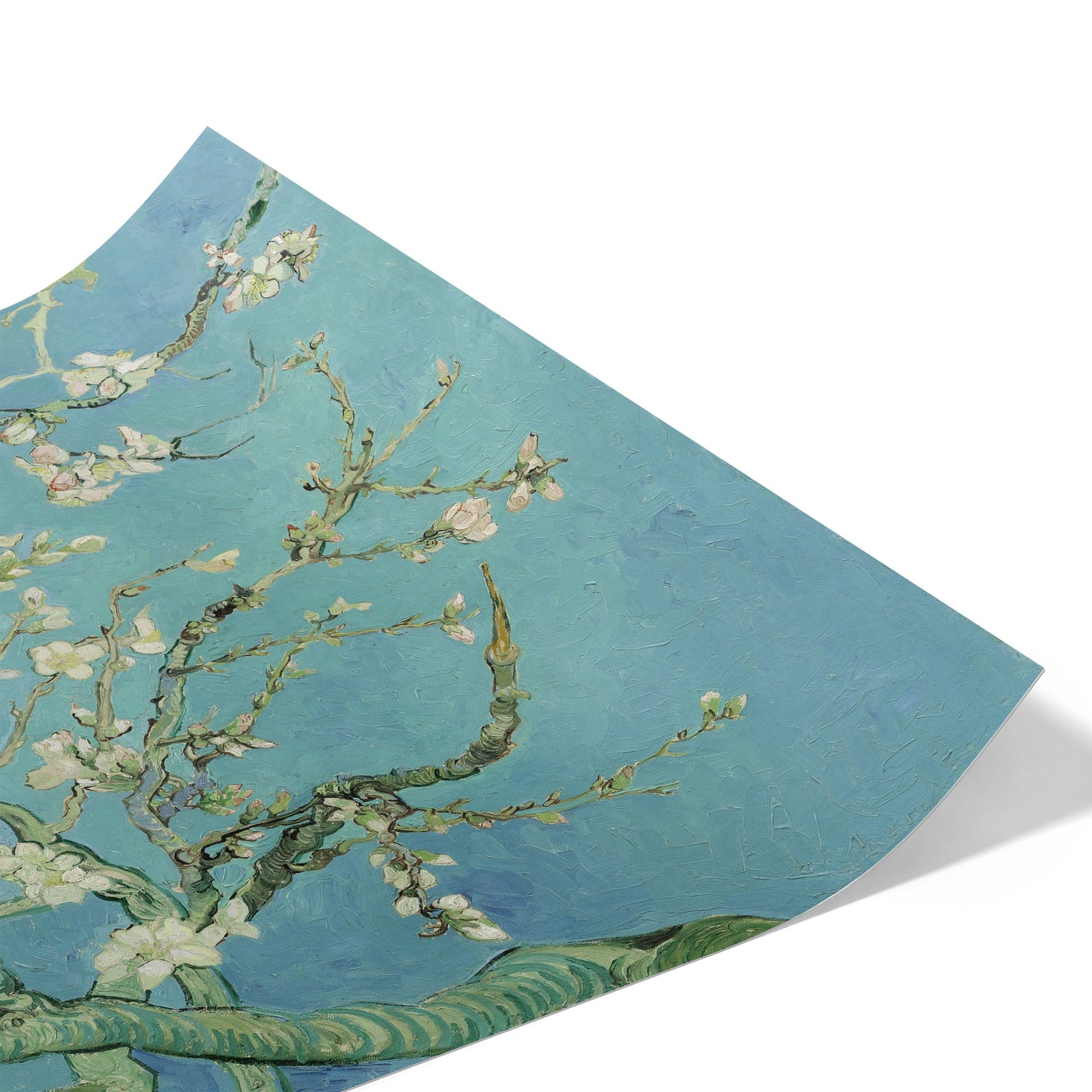 Almond Blossom | Vincent van Gogh | 1890