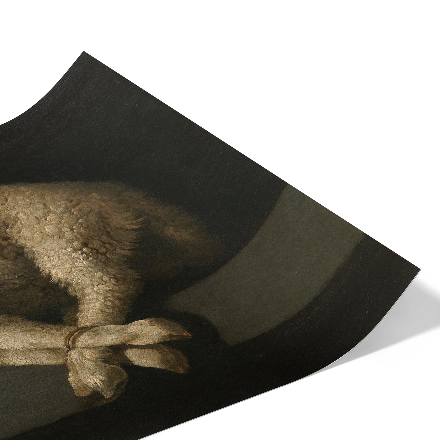 Agnus Dei | Francisco de Zurbarán | 1640