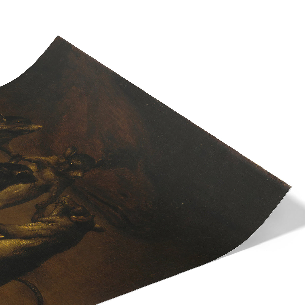 The Dance of the Rats | Ferdinand van Kessel | c. 1690