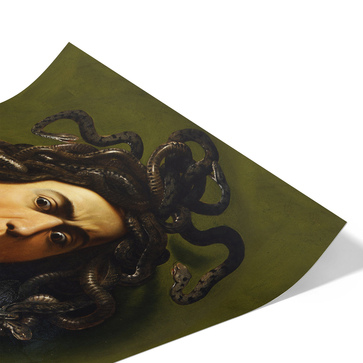 Medusa | Caravaggio | 1597