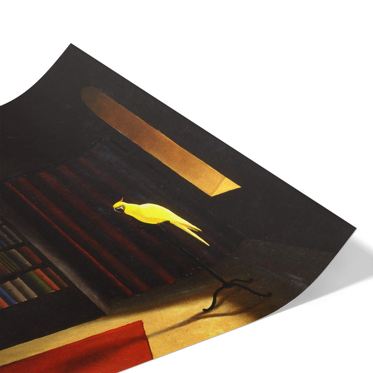 Library | Franz Sedlaceck | 1939