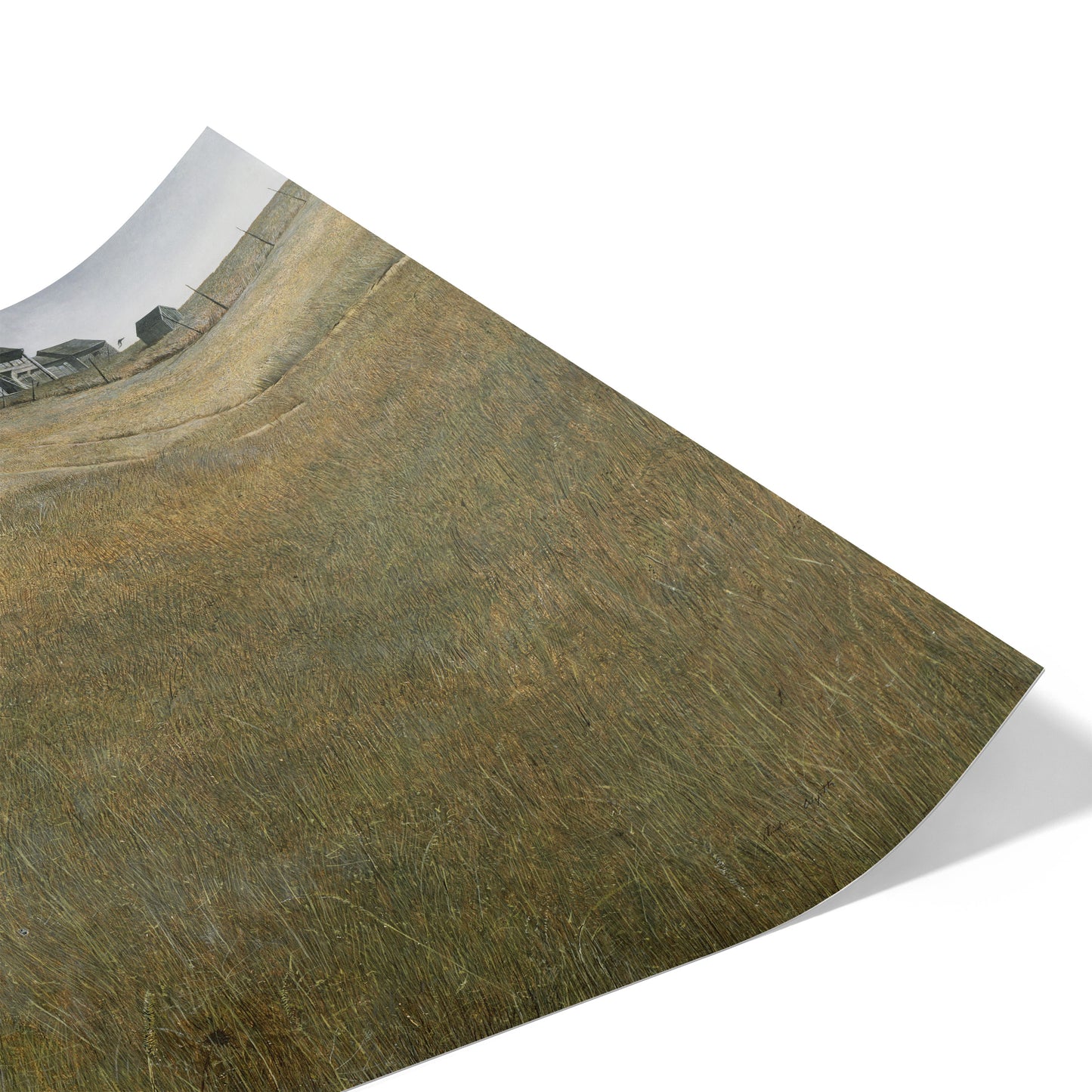 Christina's World | Andrew Wyeth | 1948