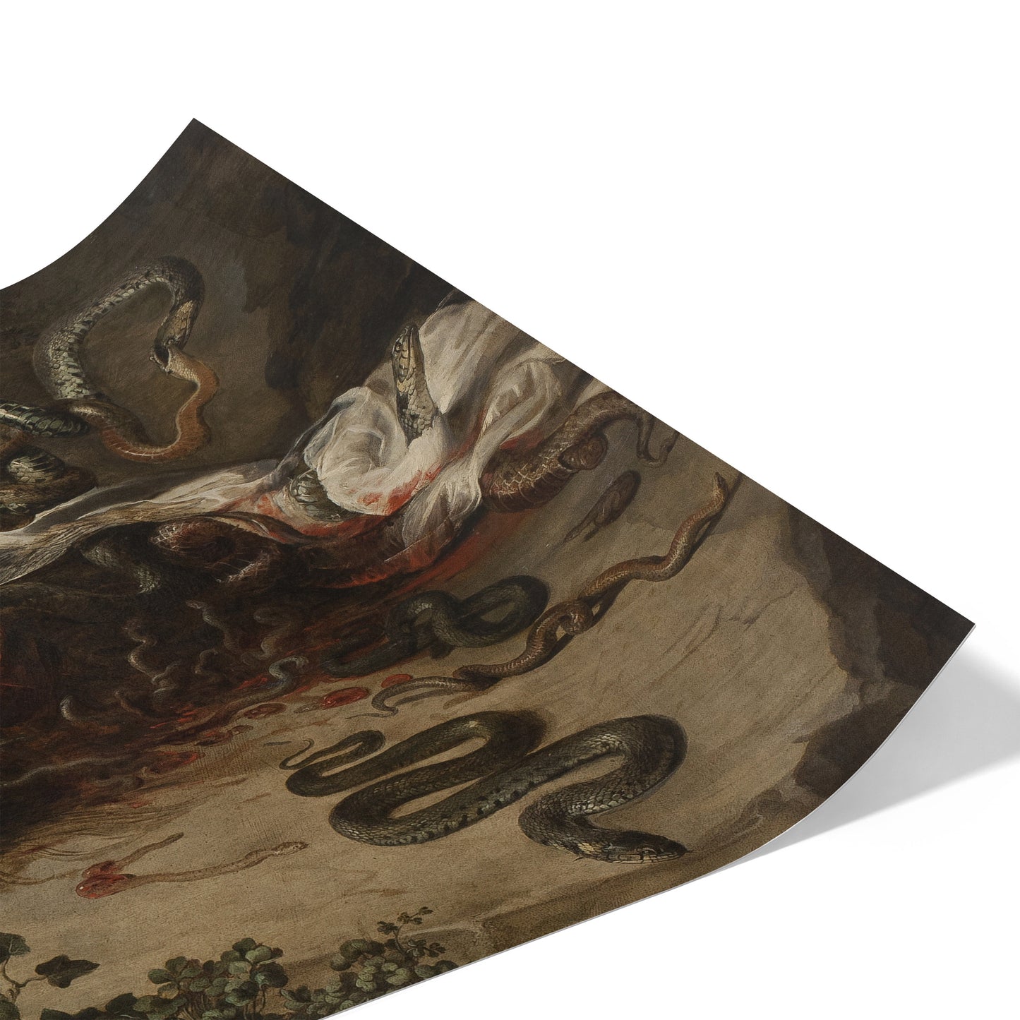Head of Medusa | Peter Paul Rubens | 1618