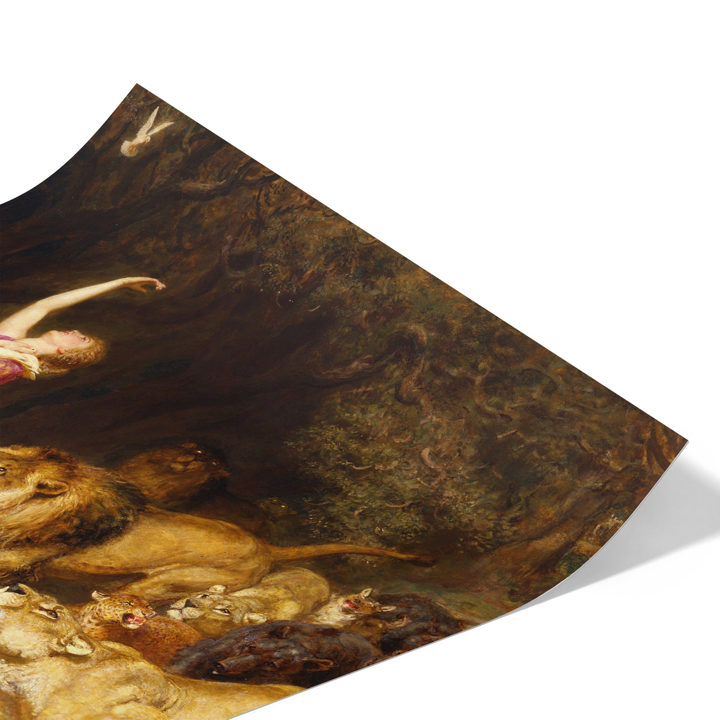 Aphrodite | Briton Rivière | 1902