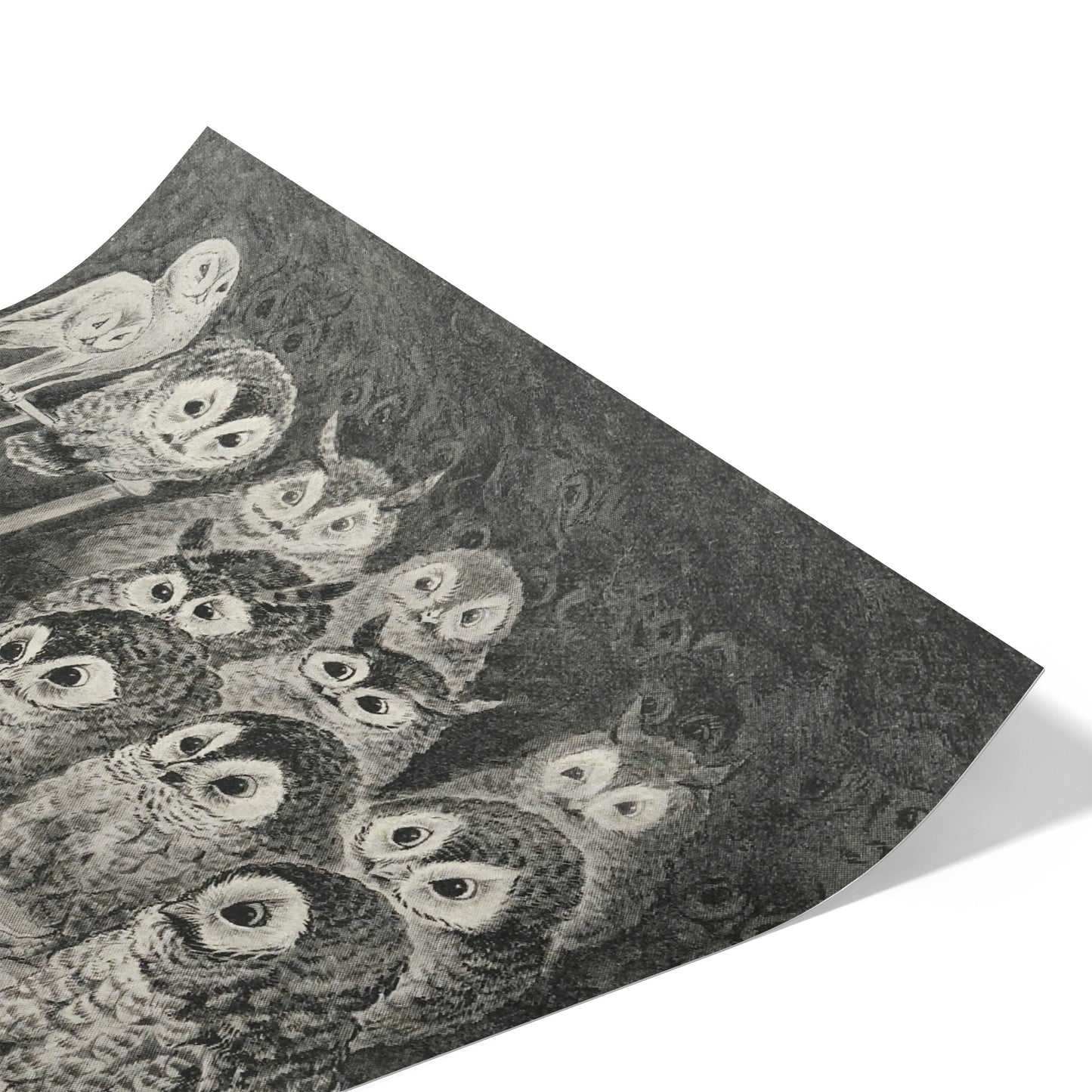Cat’s Nightmare | Louis Wain | 20th Century