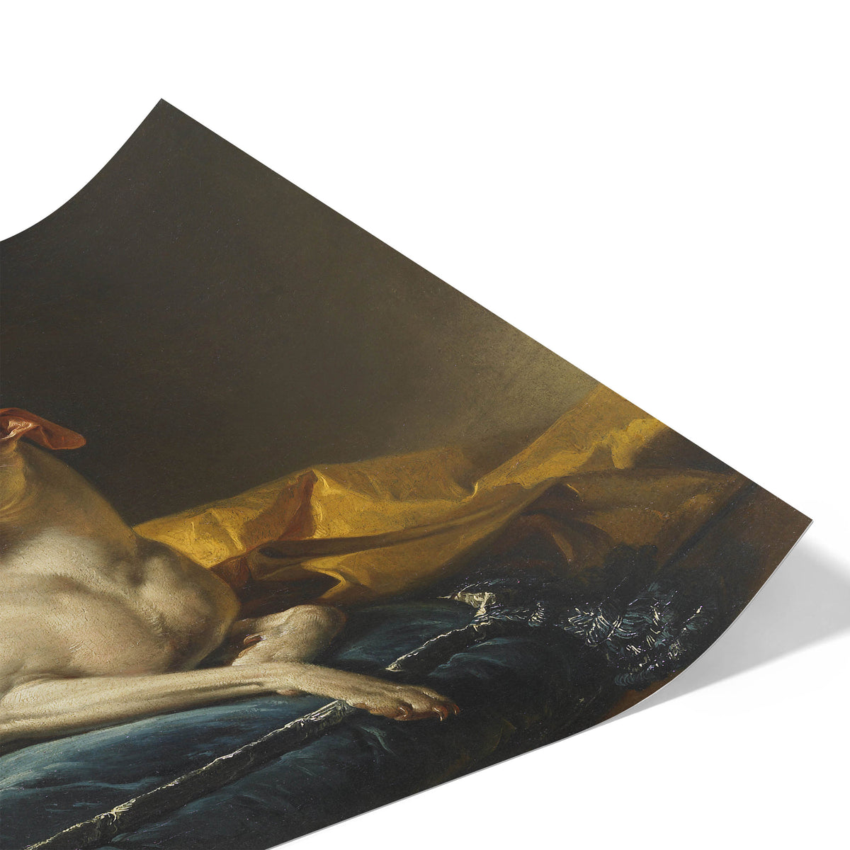 Portrait de Diane, levrette de Bergeret | François-André Vincent | 1774