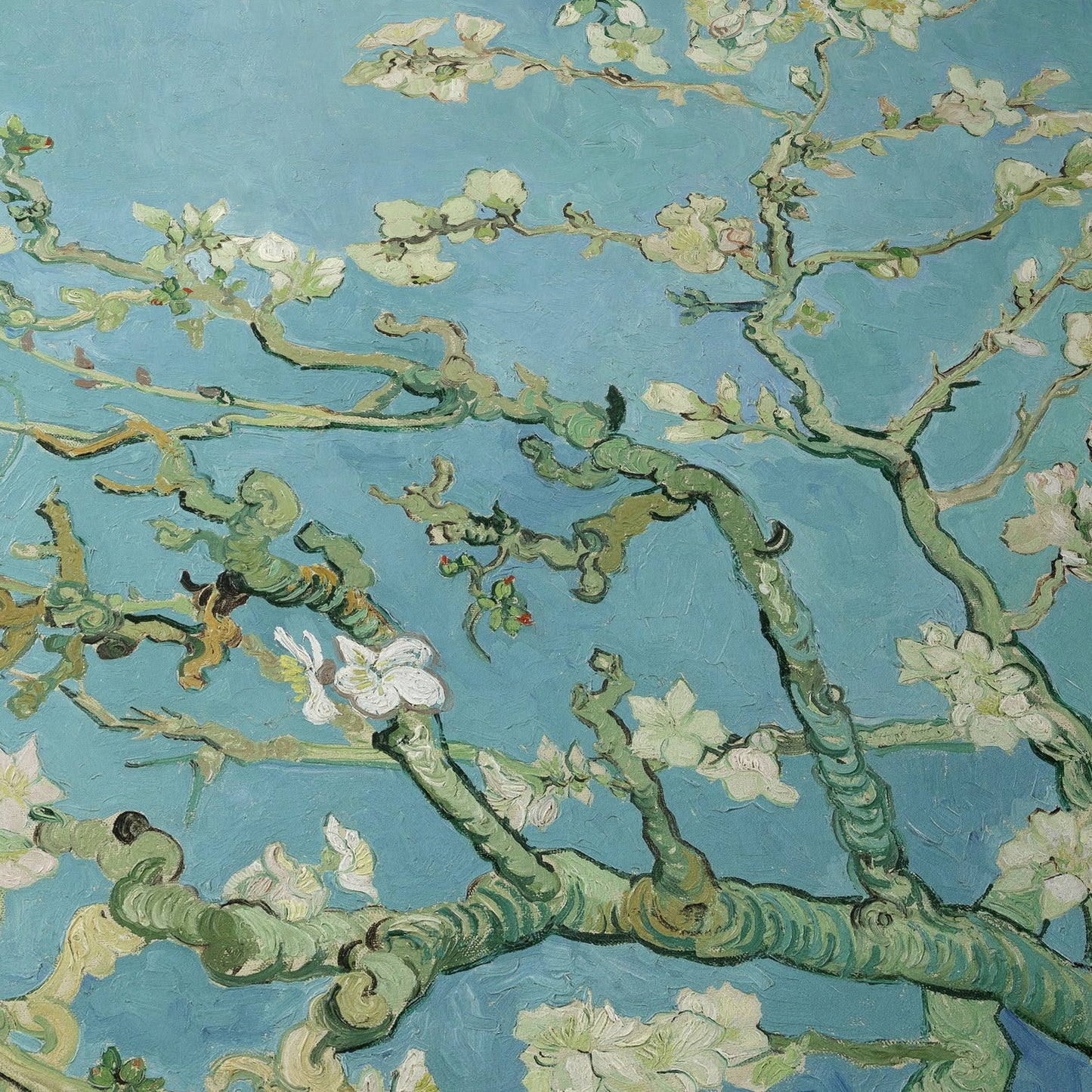 Almond Blossom | Vincent van Gogh | 1890