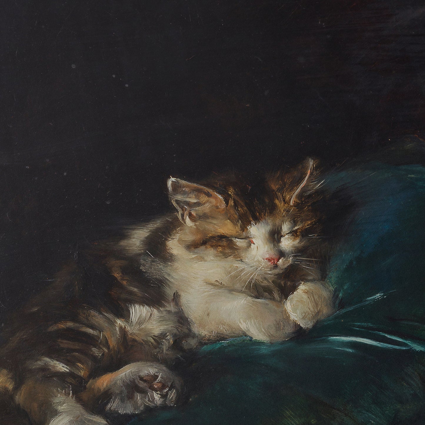 Cat Sleeping on a Cushion | Francisco Domingo Marqués | 1892