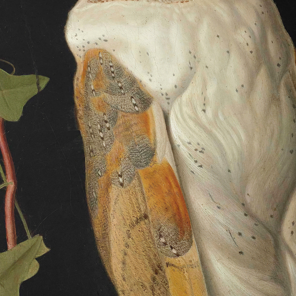 The White Owl | William James Webbe | 1856