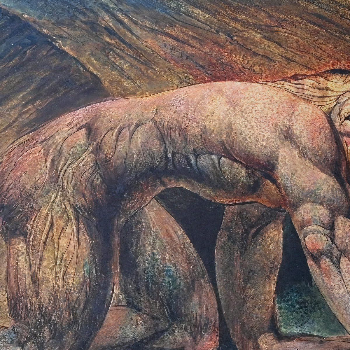 Nebuchadnezzar | William Blake | c. 1805