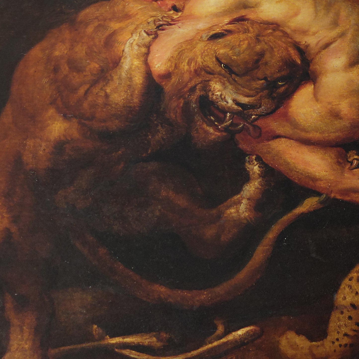 Hercules and the Lion of Nemea | Peter Paul Rubens | c. 1615-18