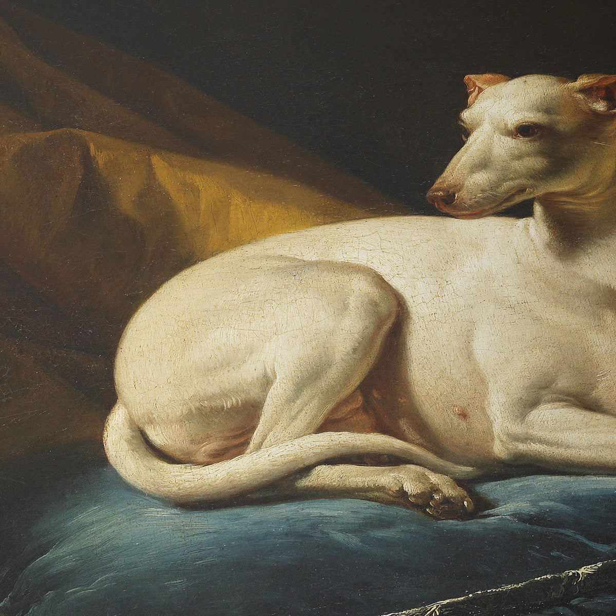 Portrait de Diane, levrette de Bergeret | François-André Vincent | 1774