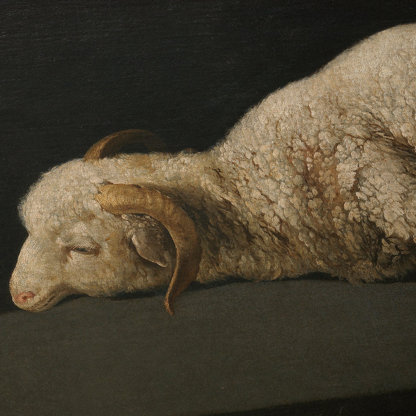 Agnus Dei | Francisco de Zurbarán | 1640