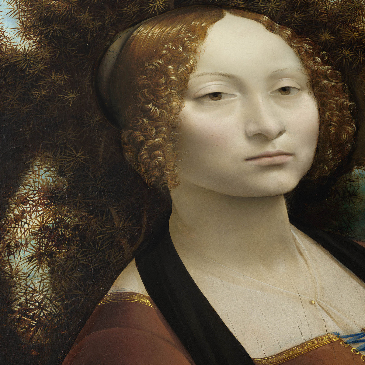 Portrait of Ginevra de' Benci | Leonardo da Vinci | c. 1474-78