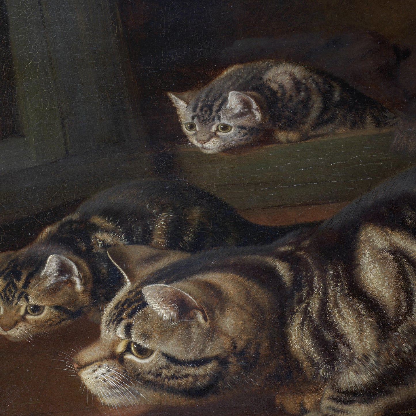 Curiosity | Horatio Henry Couldery | 1893