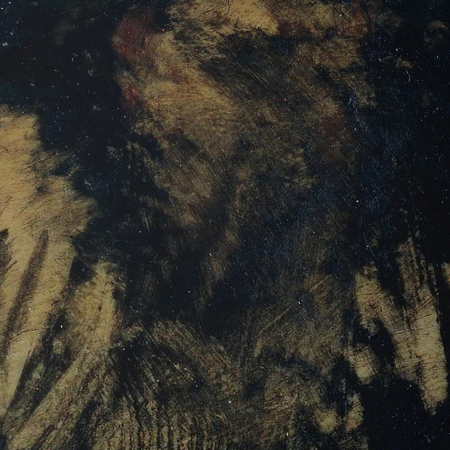 Boy Staring at an Apparition | Francisco Goya | 1824-25