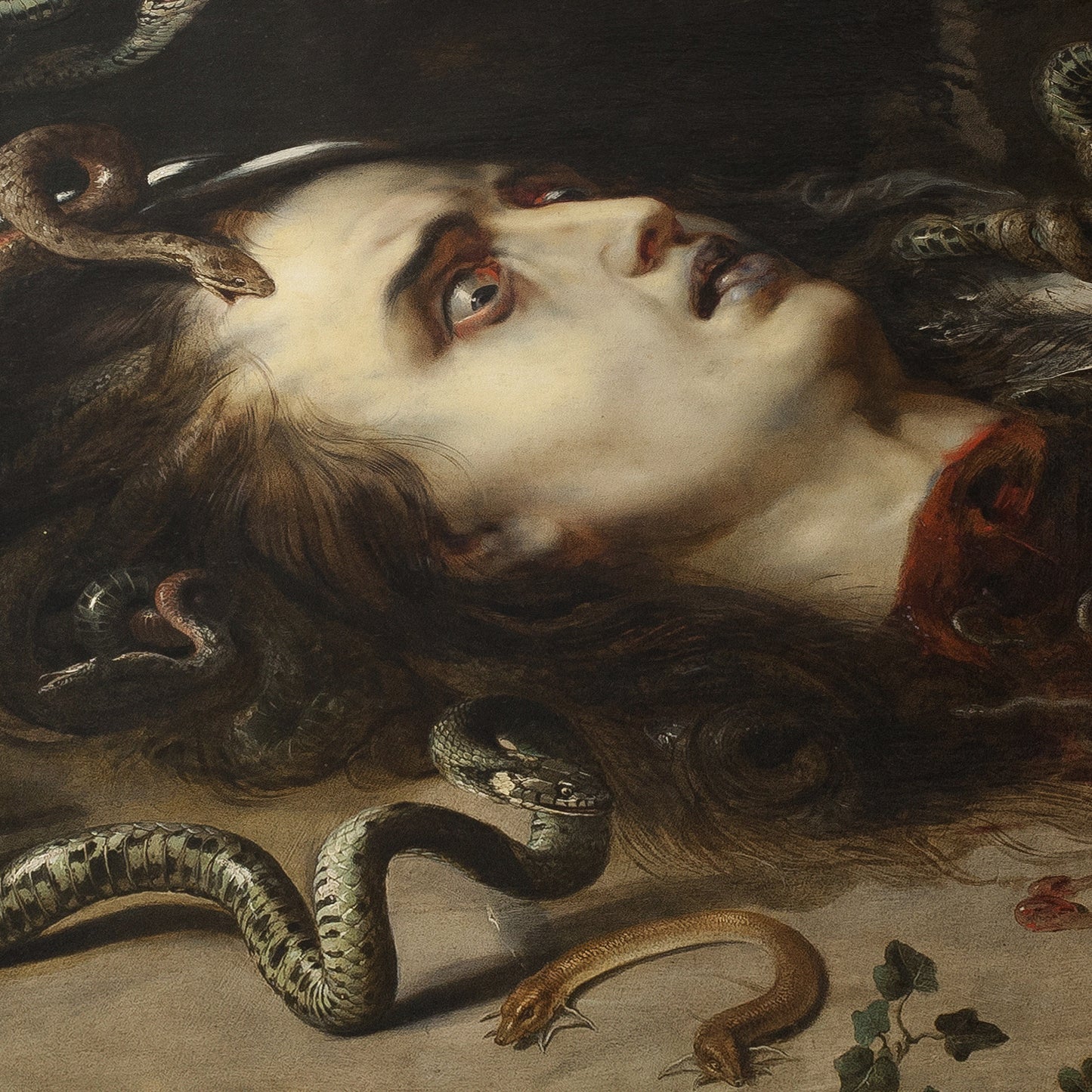Head of Medusa | Peter Paul Rubens | 1618
