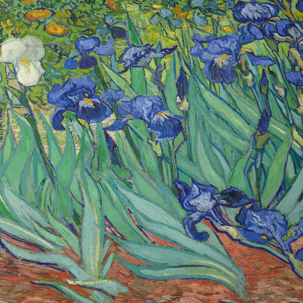 Les Iris | Vincent van Gogh | 1889