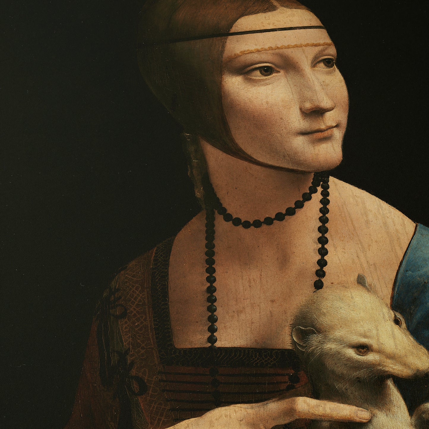 Lady with an Ermine | Leonardo da Vinci | 1489