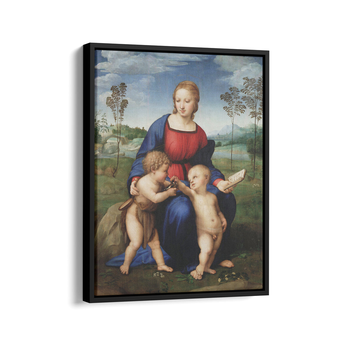 Madonna of the Goldfinch | Raphael | 1505