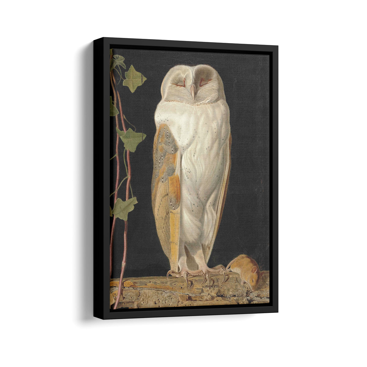 The White Owl | William James Webbe | 1856