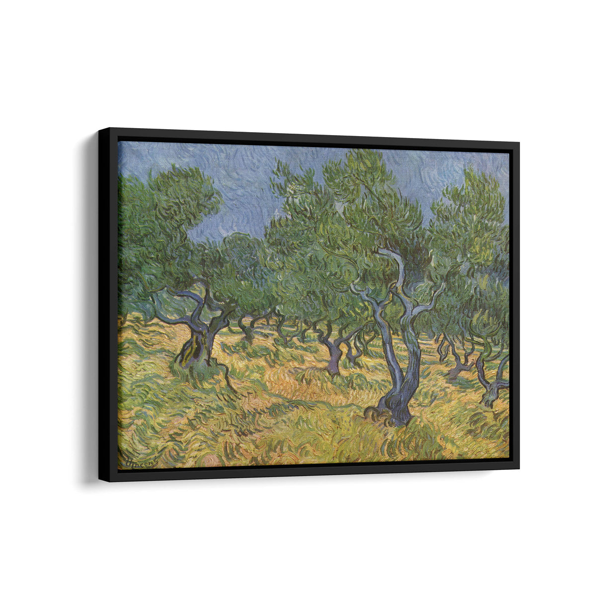 Olive Trees | Vincent van Gogh | 1889