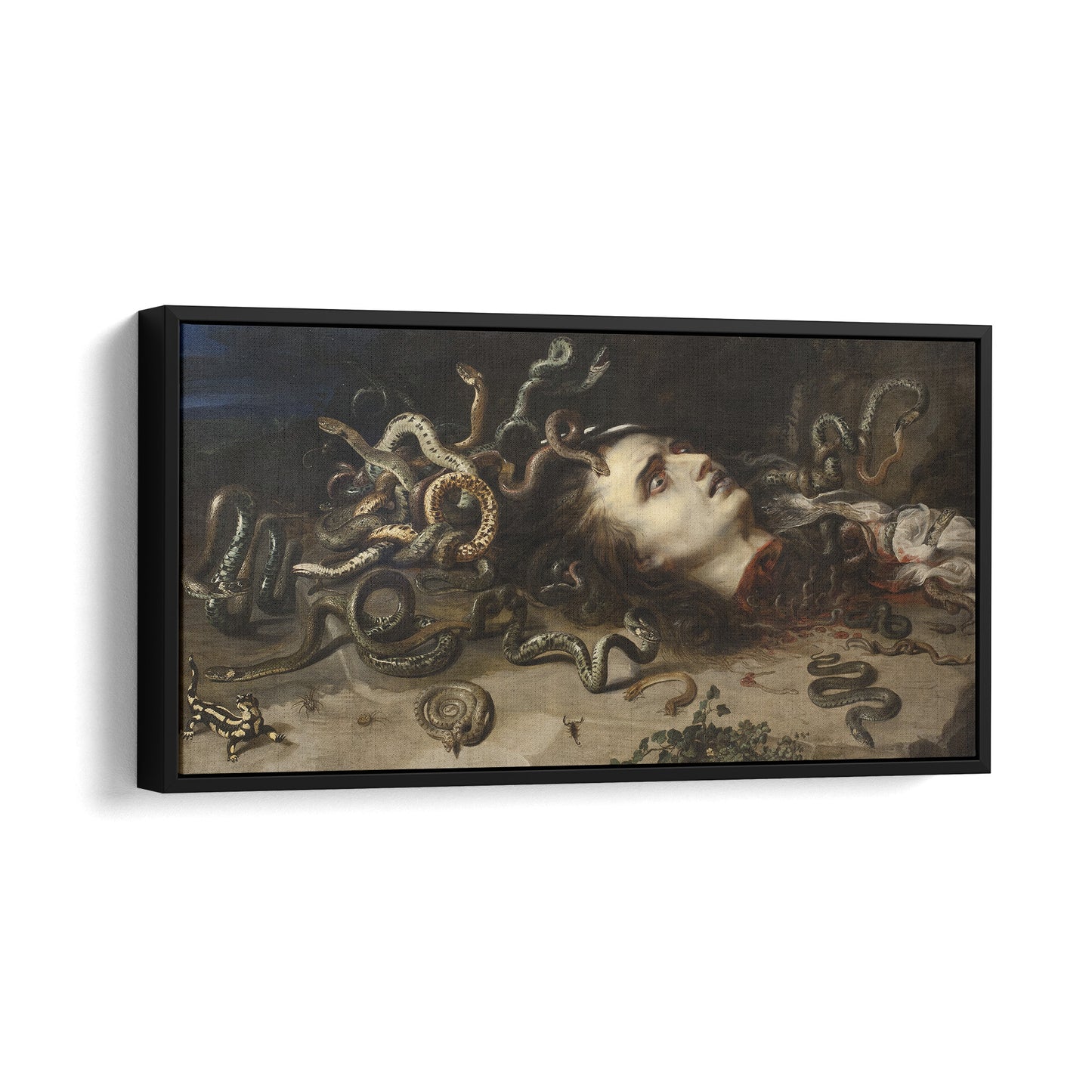 Head of Medusa | Peter Paul Rubens | 1618