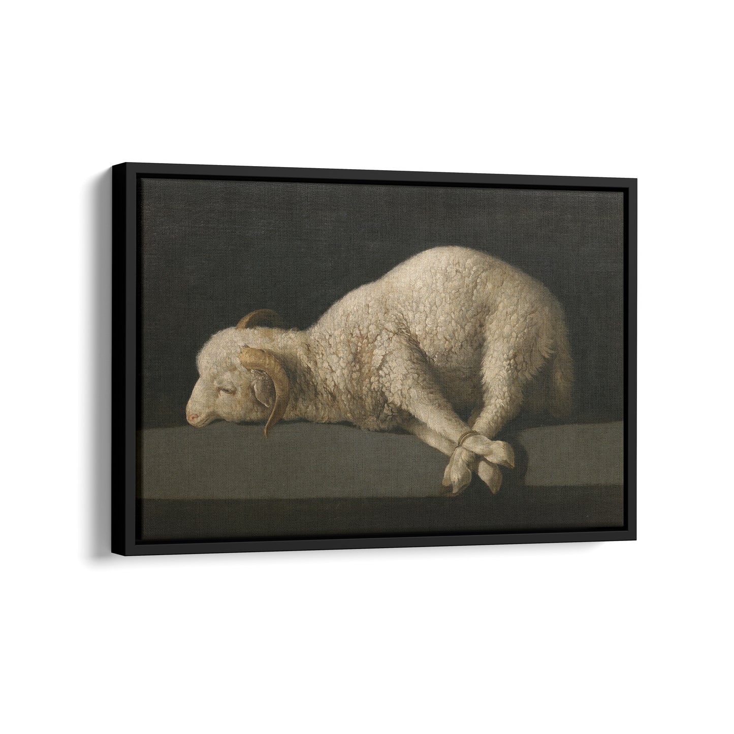 Agnus Dei | Francisco de Zurbarán | 1640