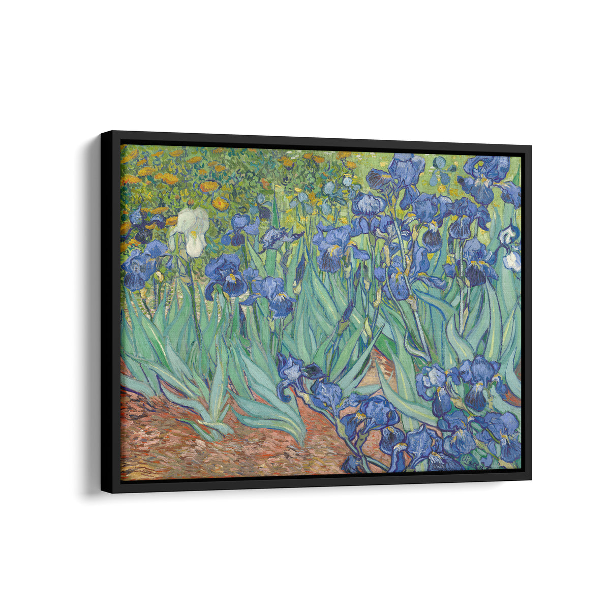 Les Iris | Vincent van Gogh | 1889