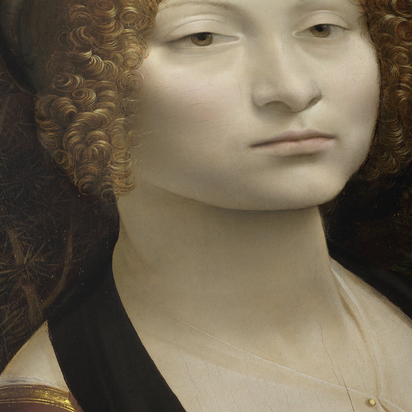 Portrait of Ginevra de' Benci | Leonardo da Vinci | c. 1474-78
