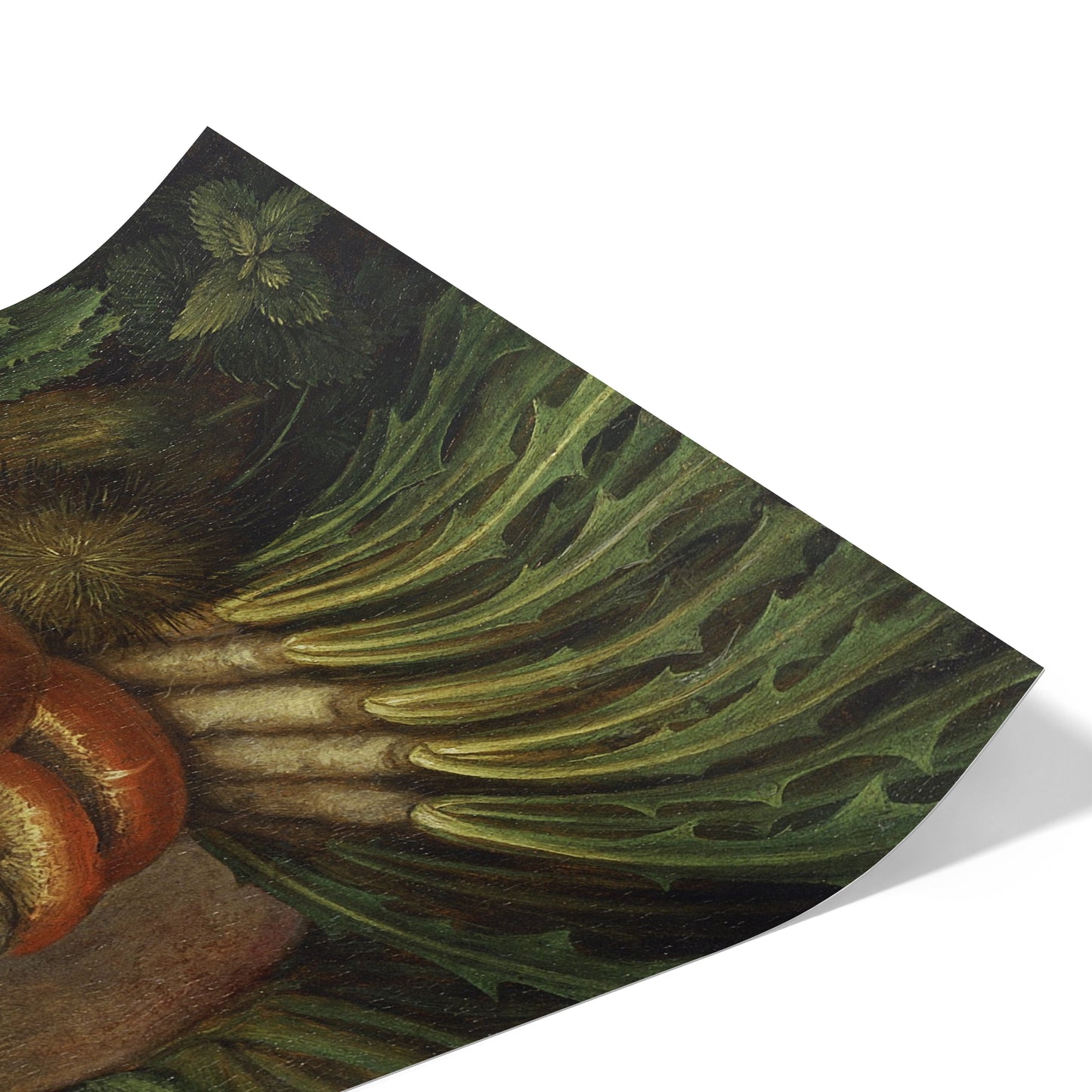 The Gardener | Giuseppe Arcimboldo | 1587