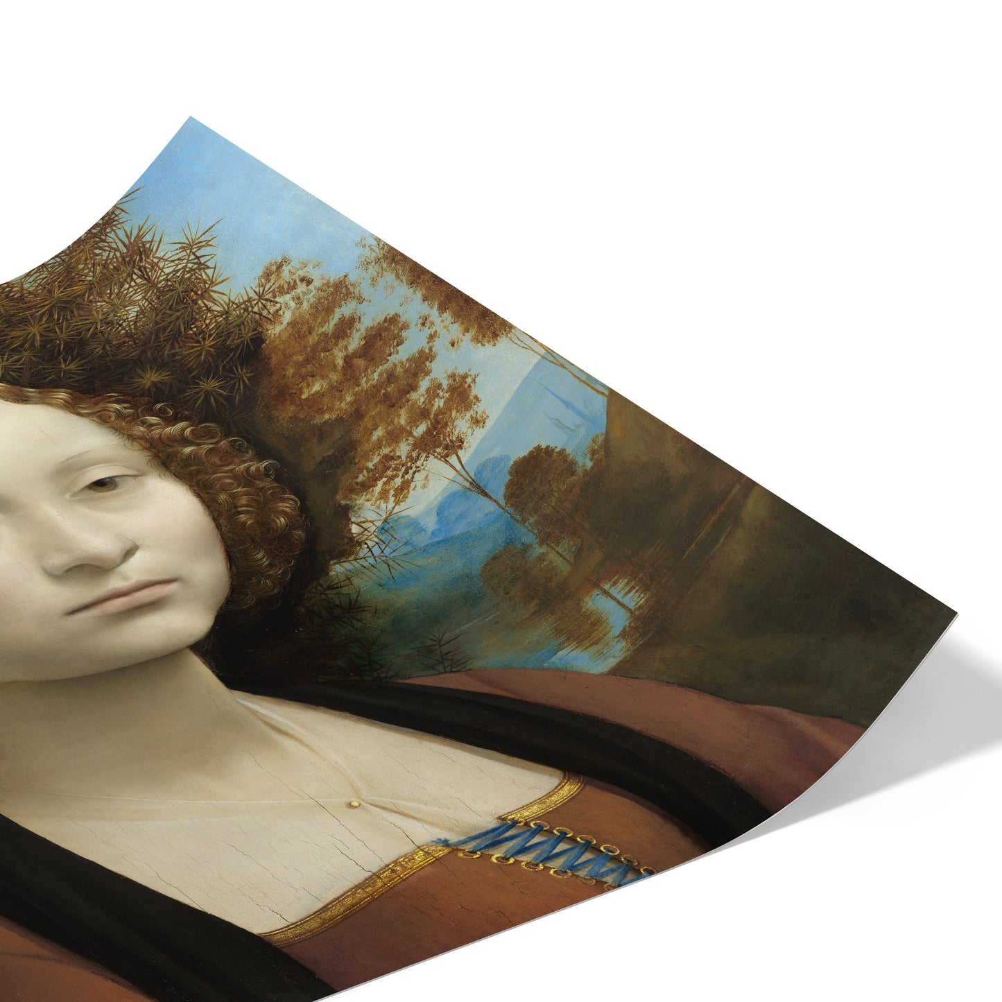 Portrait of Ginevra de' Benci | Leonardo da Vinci | c. 1474-78