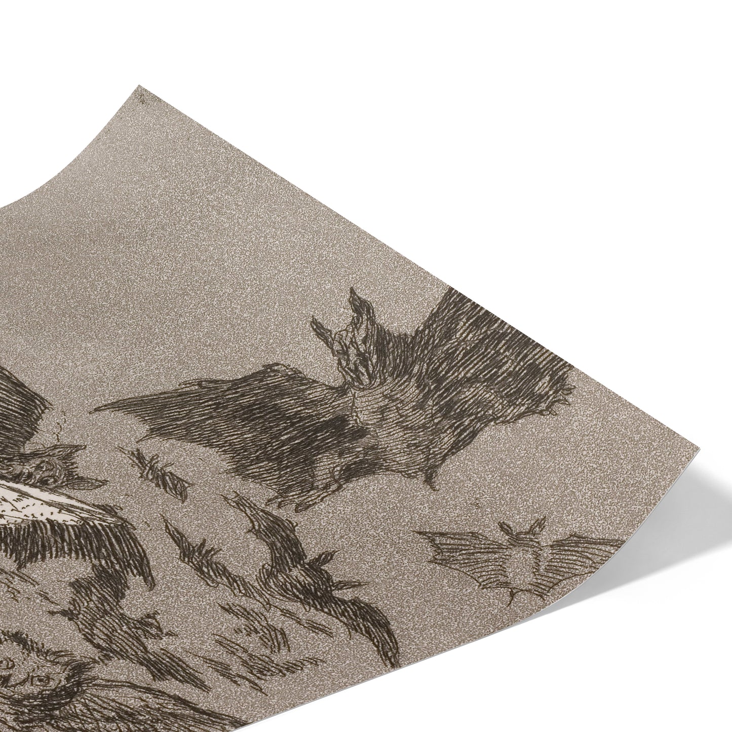 The Sleep of Reason Produces Monsters | Francisco Goya | 1799