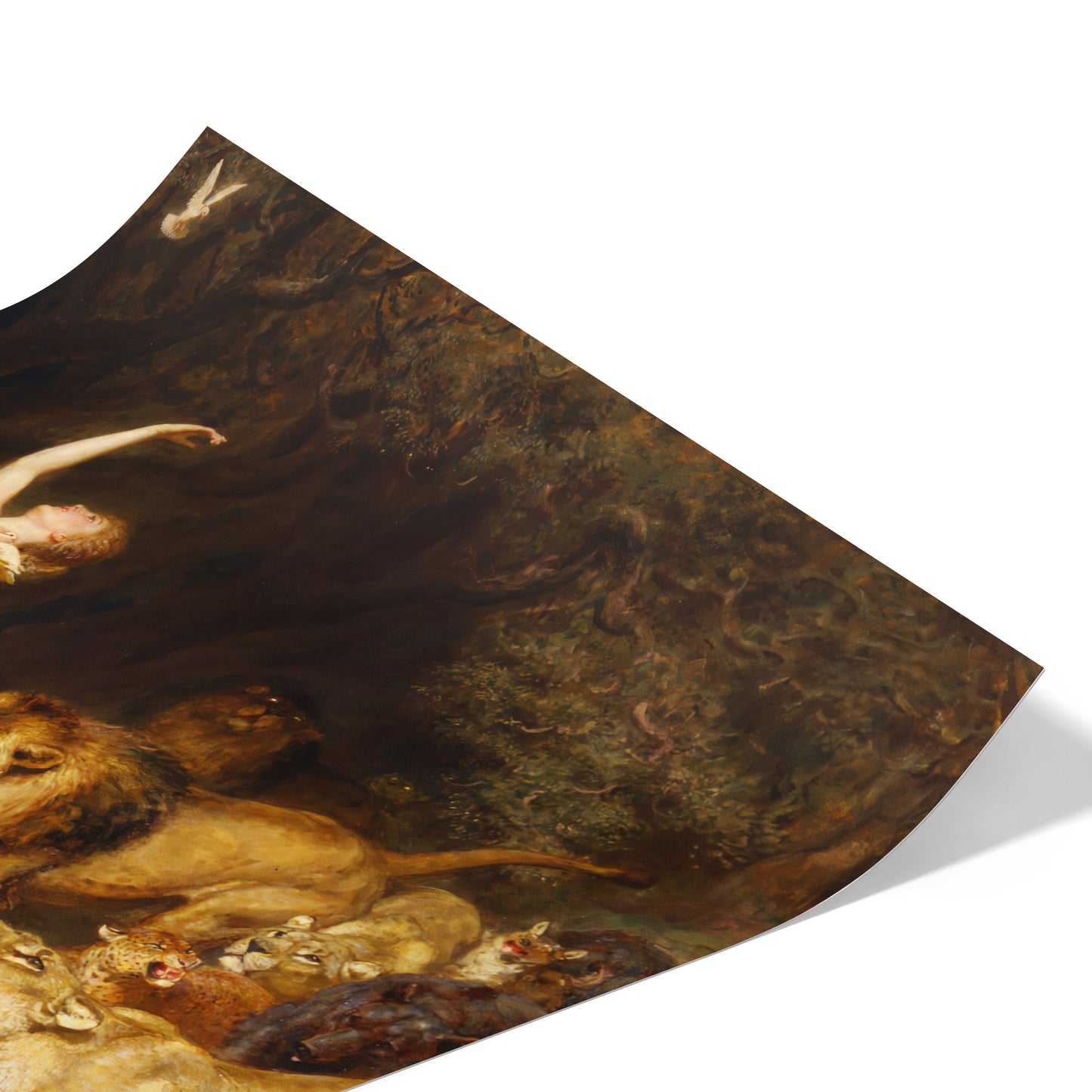 Aphrodite | Briton Rivière | 1902