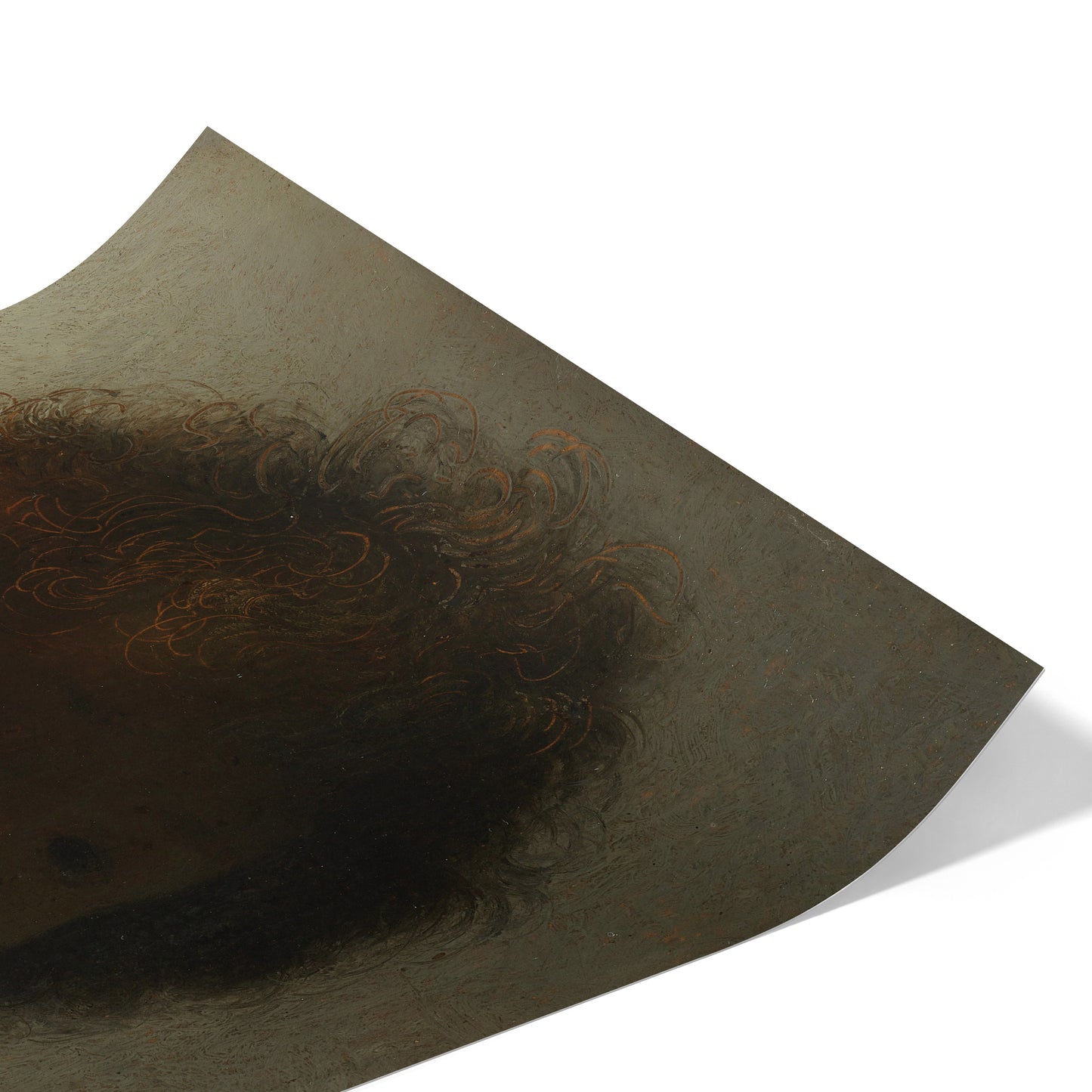 Self-Portrait with Dishevelled Hair | Rembrandt | 1628