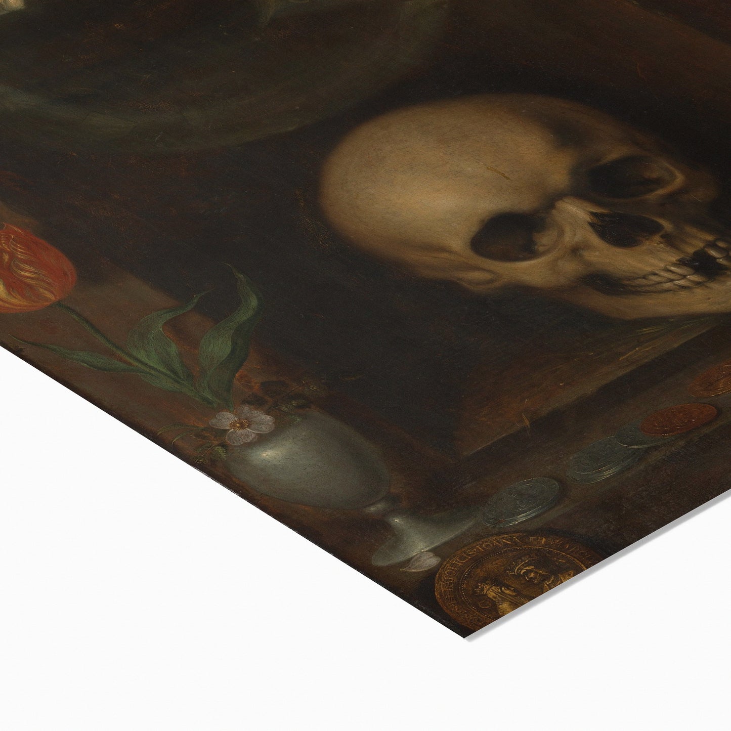 Vanitas | Jacques de Gheyn II | 1630