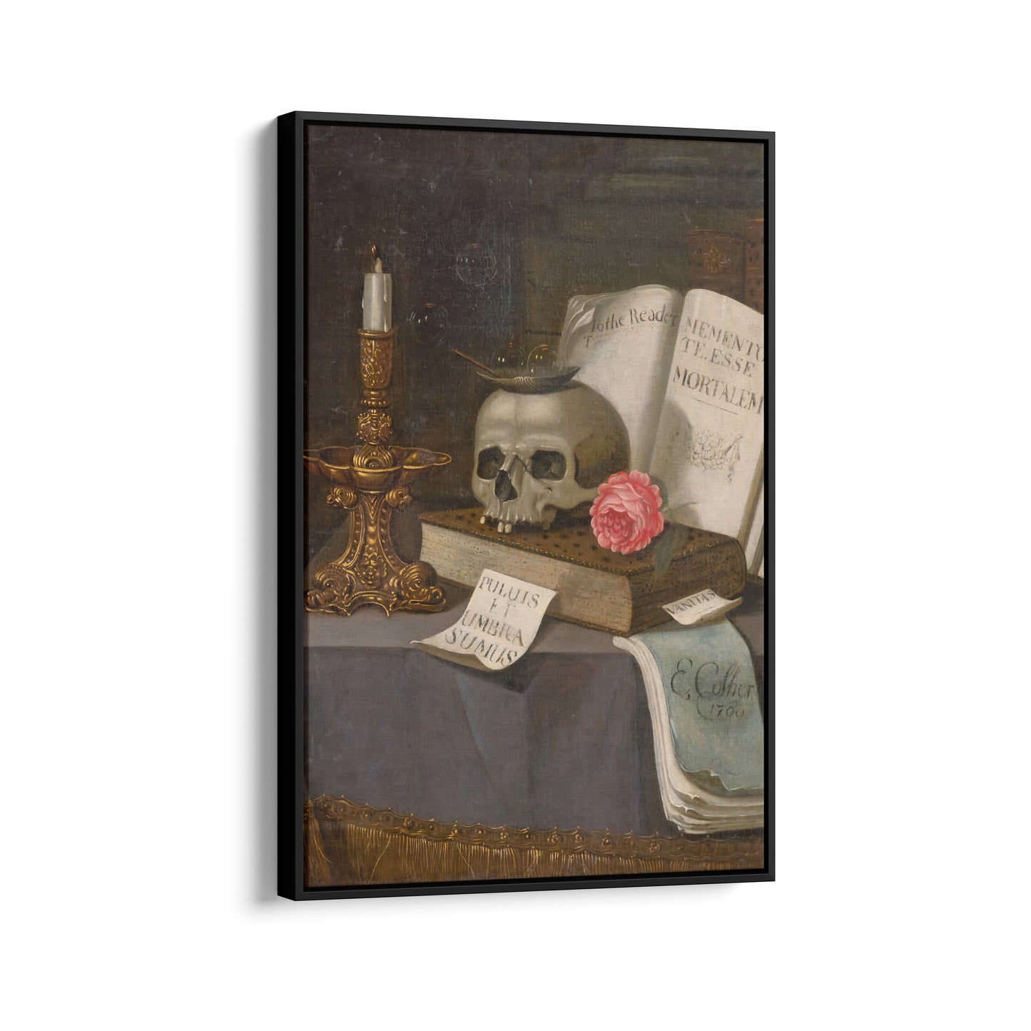 Vanitas Still Life with a Skull | Edward Collier | 17th Century