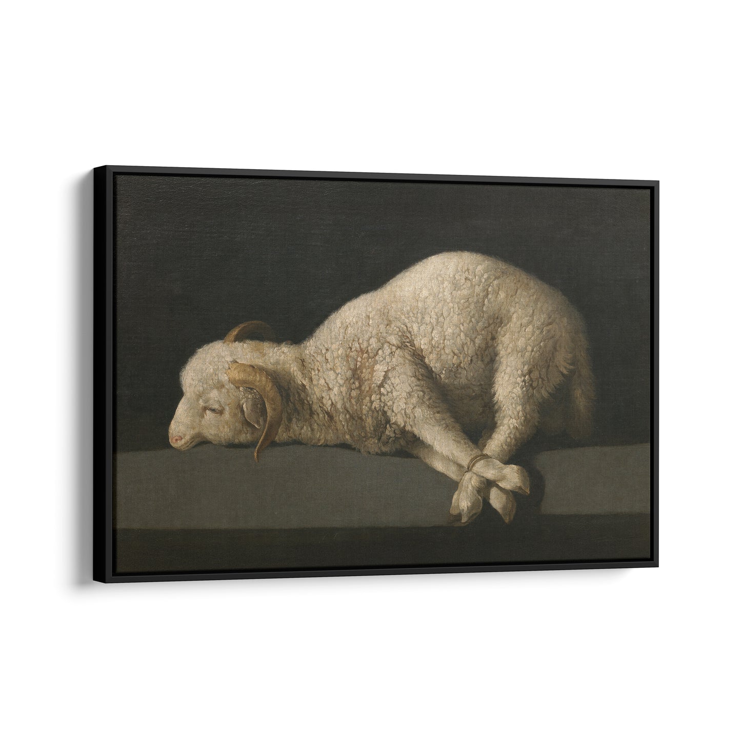 Agnus Dei | Francisco de Zurbarán | 1640