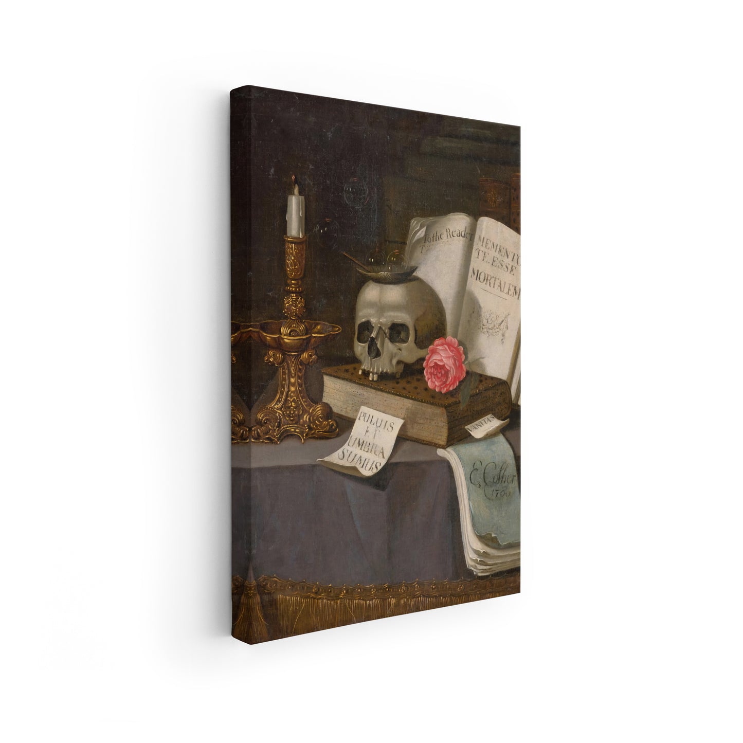 Vanitas Still Life with a Skull | Edward Collier | 17th Century